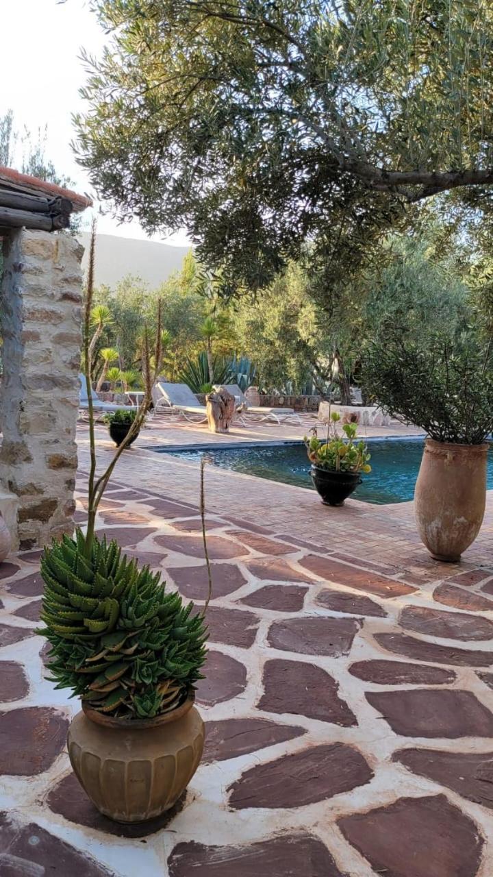 Sel D Ailleurs, Atlas Mountain Retreat - Adults Only 奥伊俄贞 外观 照片