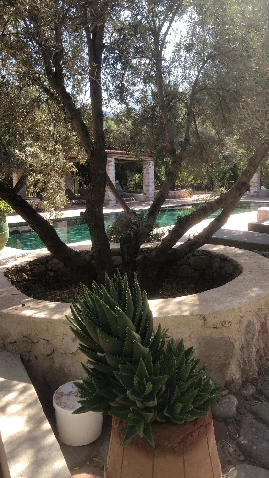 Sel D Ailleurs, Atlas Mountain Retreat - Adults Only 奥伊俄贞 外观 照片