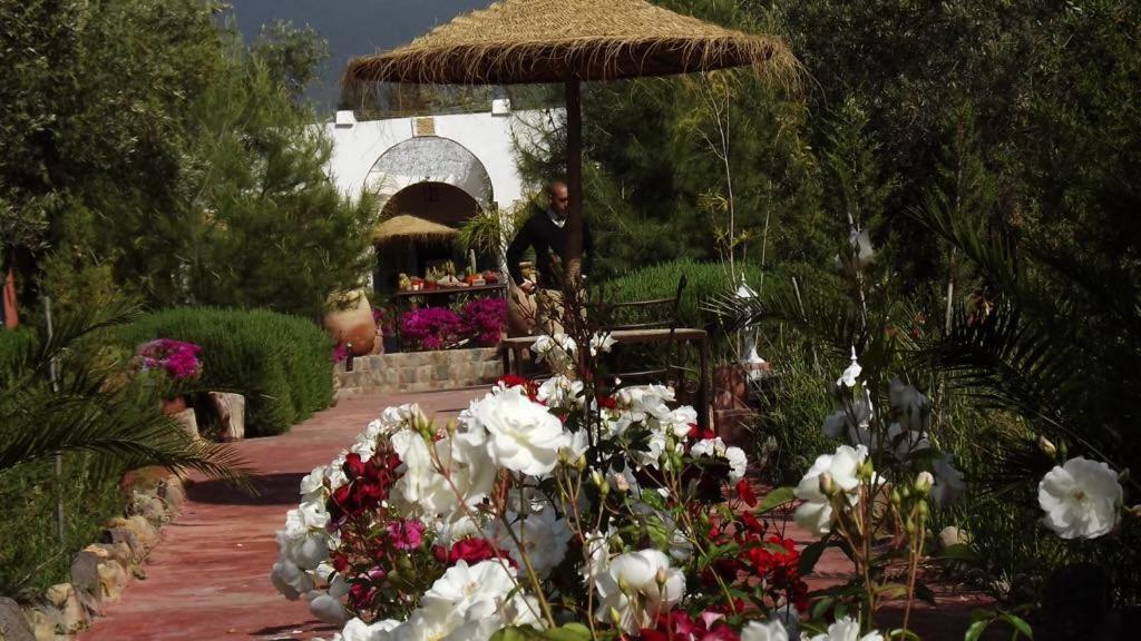 Sel D Ailleurs, Atlas Mountain Retreat - Adults Only 奥伊俄贞 外观 照片