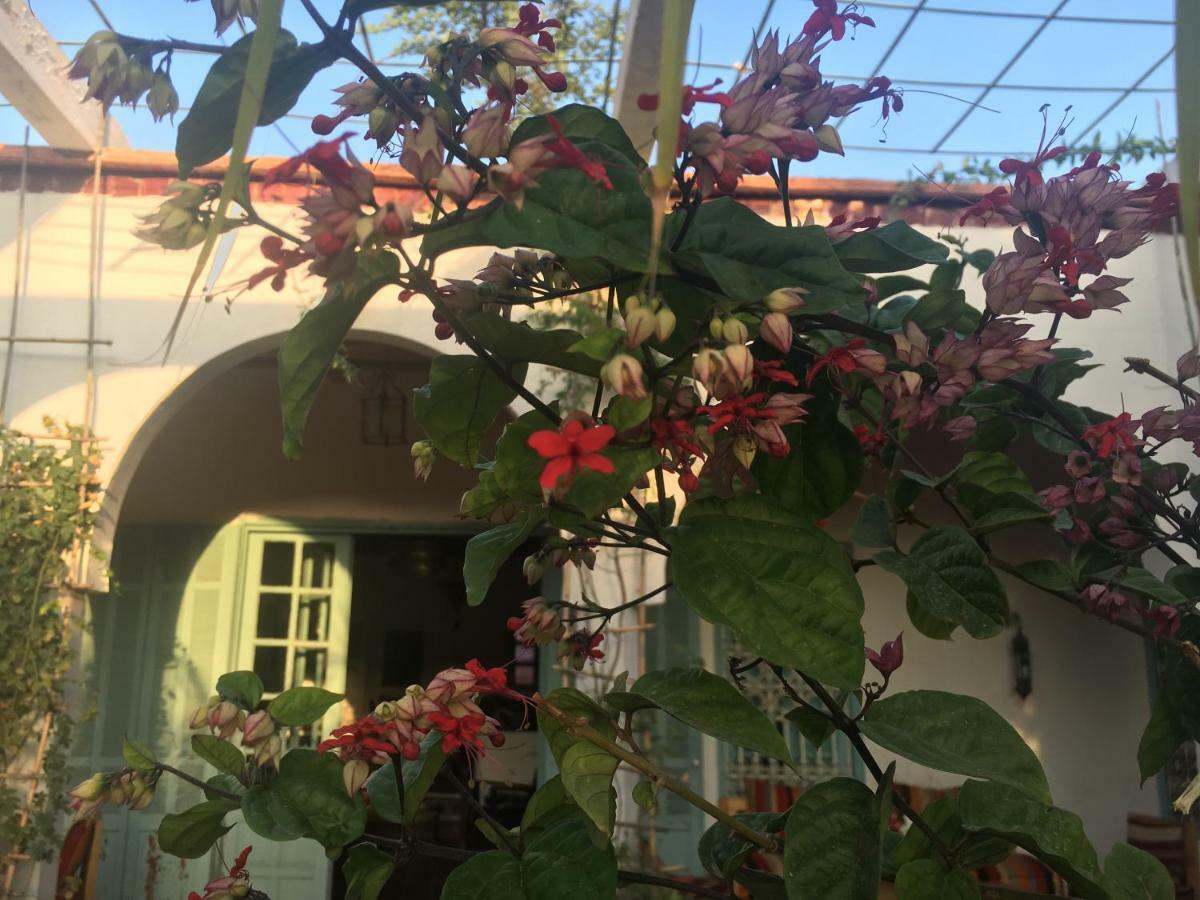 Sel D Ailleurs, Atlas Mountain Retreat - Adults Only 奥伊俄贞 外观 照片