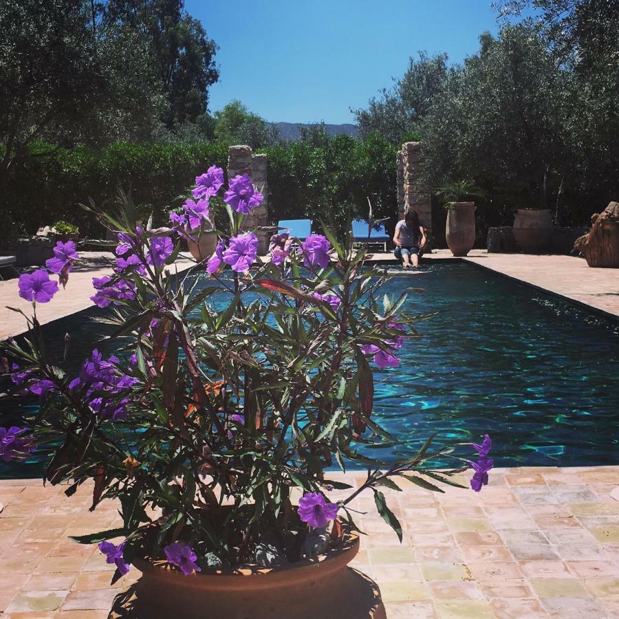 Sel D Ailleurs, Atlas Mountain Retreat - Adults Only 奥伊俄贞 外观 照片